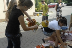 Lato w teatrze, Kozy (16-27.08.2011)