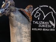 talizman-sukcesu-09