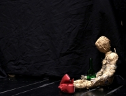 proba_wedrowne_ptaki_09