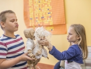 swietlica_wedrowne_ptaki_24