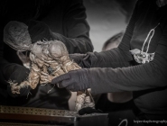 wedrowne_ptaki_fotorelacja_02