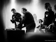 wedrowne_ptaki_fotorelacja_17