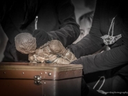 wedrowne_ptaki_fotorelacja_24