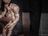 wedrowne_ptaki_fotorelacja_27