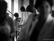 wedrowne_ptaki_fotorelacja_29