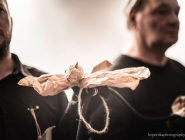wedrowne_ptaki_fotorelacja_31