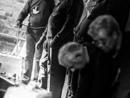 wedrowne_ptaki_fotorelacja_33
