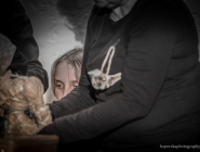 wedrowne_ptaki_fotorelacja_36