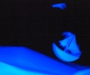 Wena (01.06.2012) eF