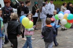 Piknik Organizacji Pozarządowych w Bielsku-Białej (22.09.2013)